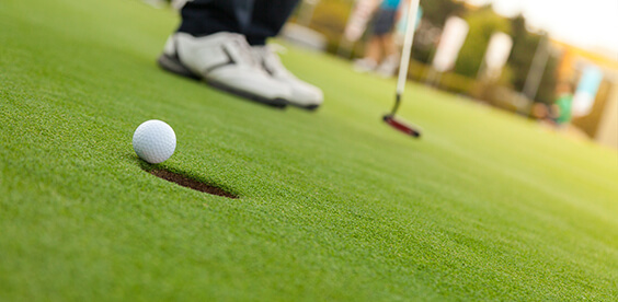 Standard Fertilizers, Fertilizer Pesticide combination products, and Pesticide Granule Products