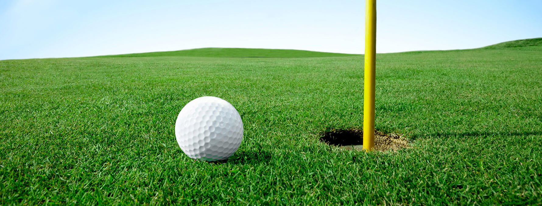 golf-course-turf-ornamental